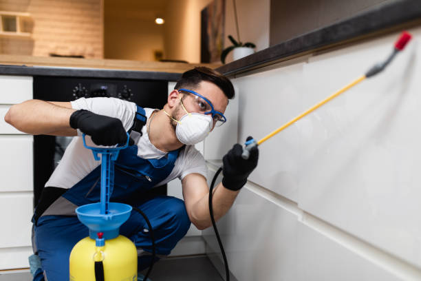 Best Wasp Removal Services  in Waianae, HI