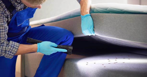 Best Pest Prevention Services  in Waianae, HI