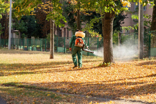 Professional Pest Control in Waianae, HI