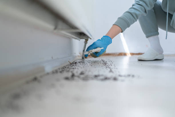 Pest Prevention Services in Waianae, HI